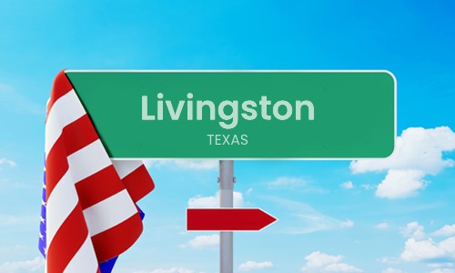 Local Resources for the City of Livingston, TX Residents